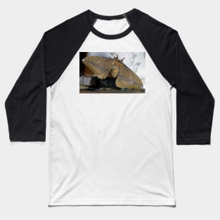 Opodiphthera helena -Magpie Springs - Adelaide Hills Wine Region - Fleurieu Peninsula - South Australia Baseball T-Shirt